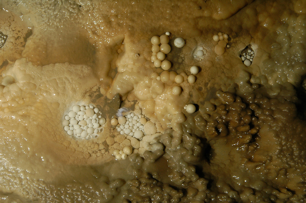 Cave Pearls
