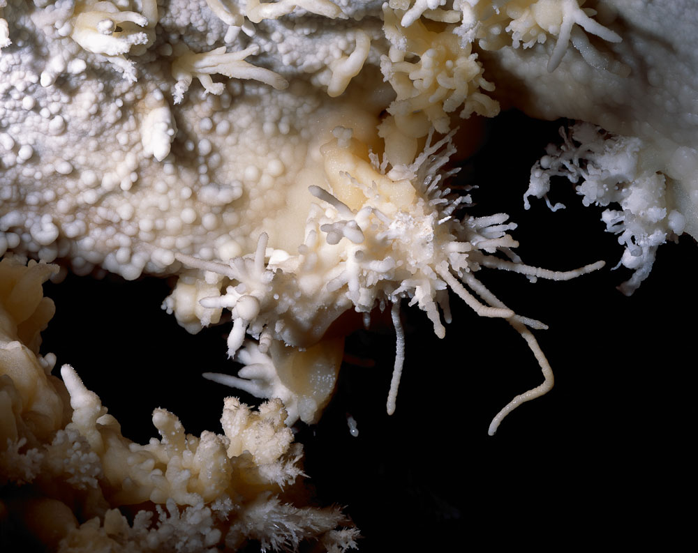 Helictite cave formations in Timpanogos Cave