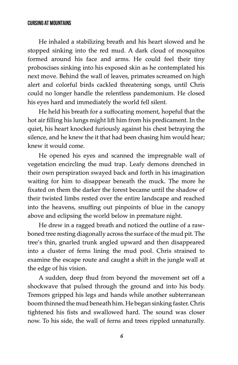 Cursing at Mountains - Image 7